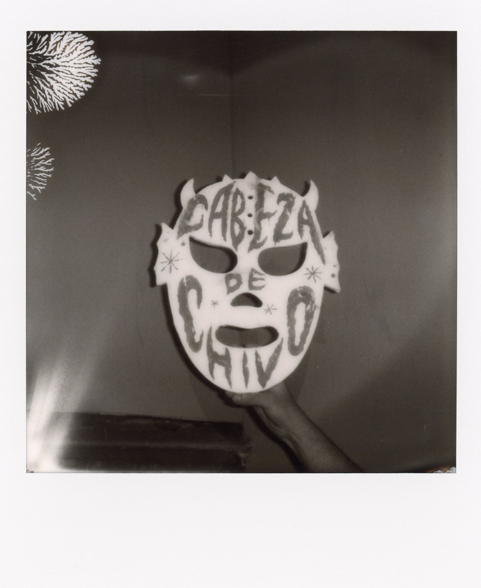 Cabeza de Chivo, photographed by Camilla Forte